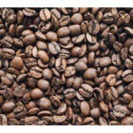 Placemat with Coffee theme in durable plastic 30x42cm