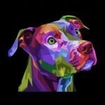 Canvas with wooden frame "Pitbull