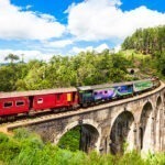 Canvas with wooden frame ''Sri Lanka''