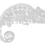 Page Coloring Lizard