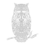 Page Coloring Owl