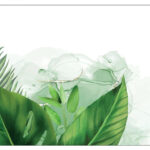 Επιφάνεια Εργασίας 65 x 45 Greenflowers